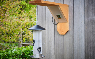 How to make an eco-friendly bird feeder