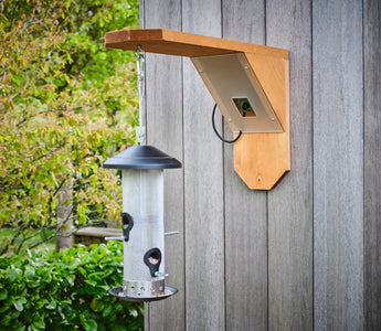 How to make an eco-friendly bird feeder