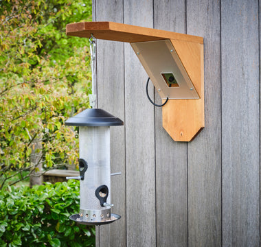 How to make an eco-friendly bird feeder