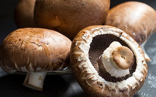 Which wild mushrooms are safe to eat in the UK?