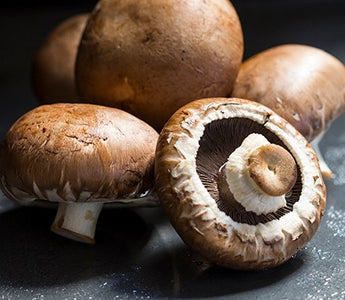 Which wild mushrooms are safe to eat in the UK?