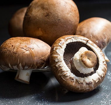 Which wild mushrooms are safe to eat in the UK?