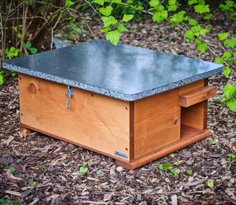 Creating a hedgehog house in your garden