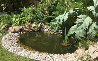 How to build a garden pond