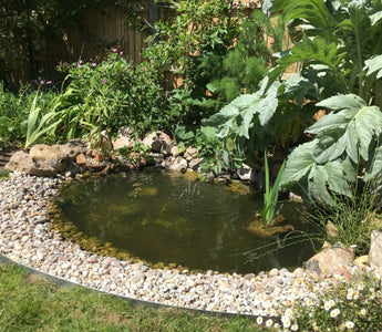 How to build a garden pond