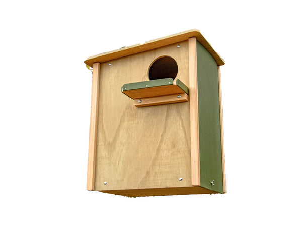 Universal Bird of Prey Bird Box – Green Feathers