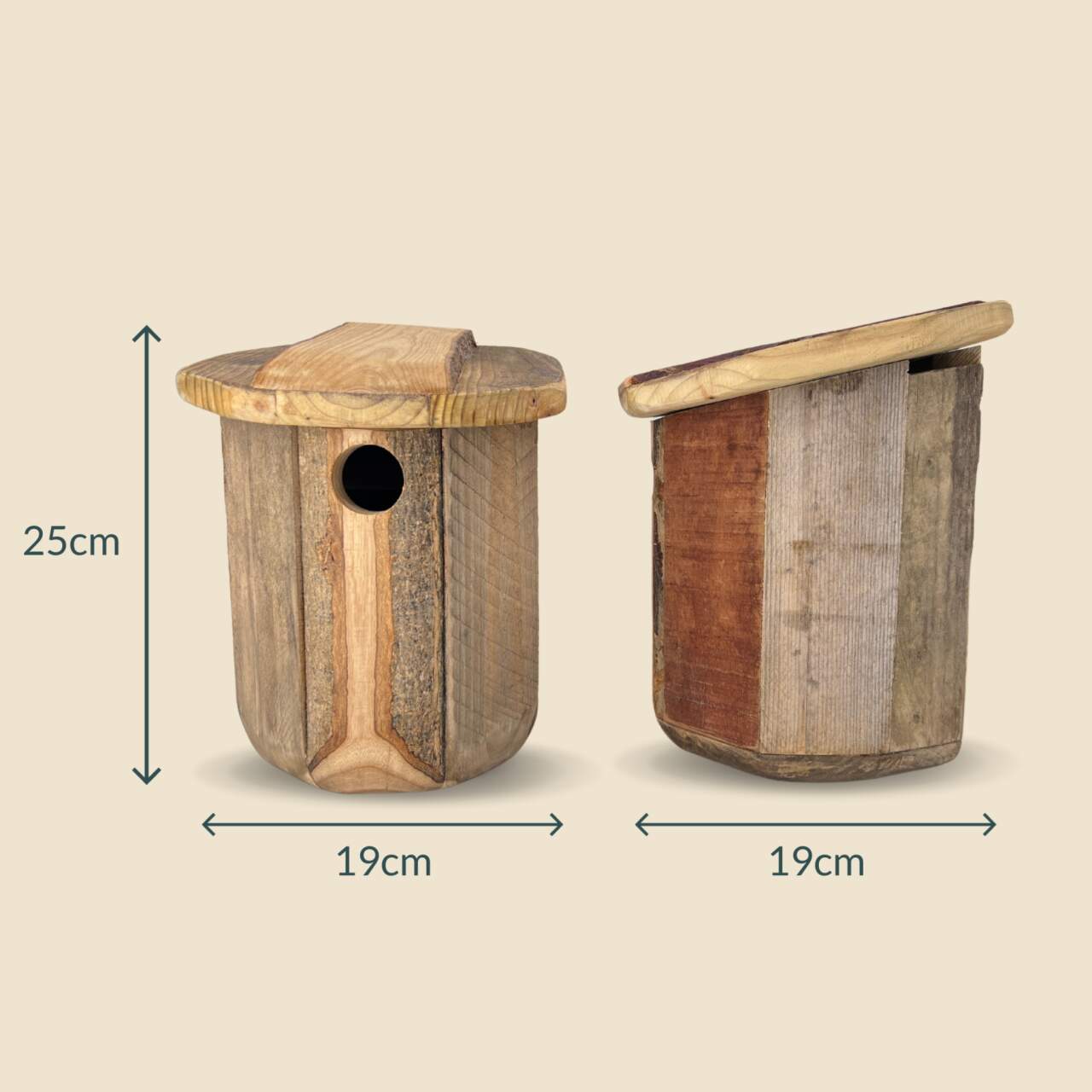 Warbler Bird Box